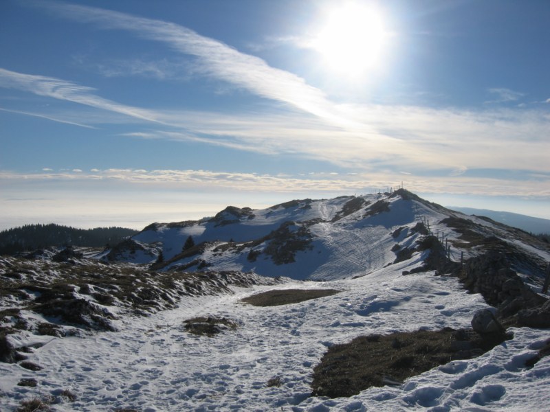 mont-tendre-randonn-e-d-t-depuis-le-col-du-marchairuz-dans-la-canton